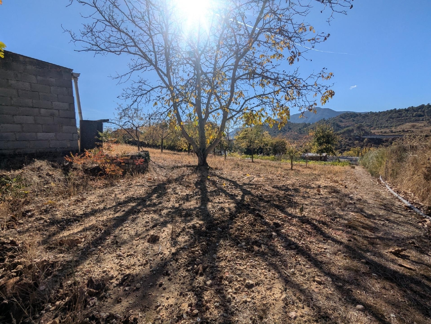  for sale plot Estella Tierra Estella 7