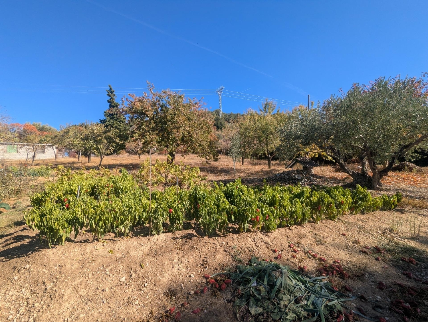  for sale plot Estella Tierra Estella 3