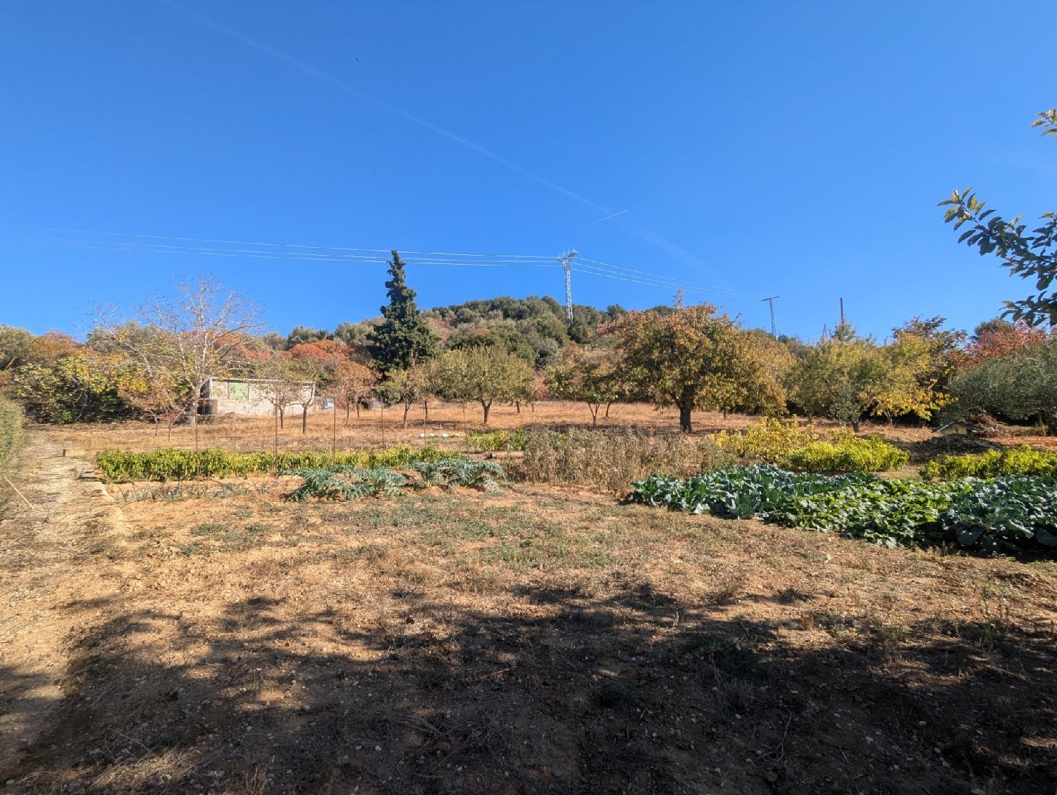  for sale plot Estella Tierra Estella 6