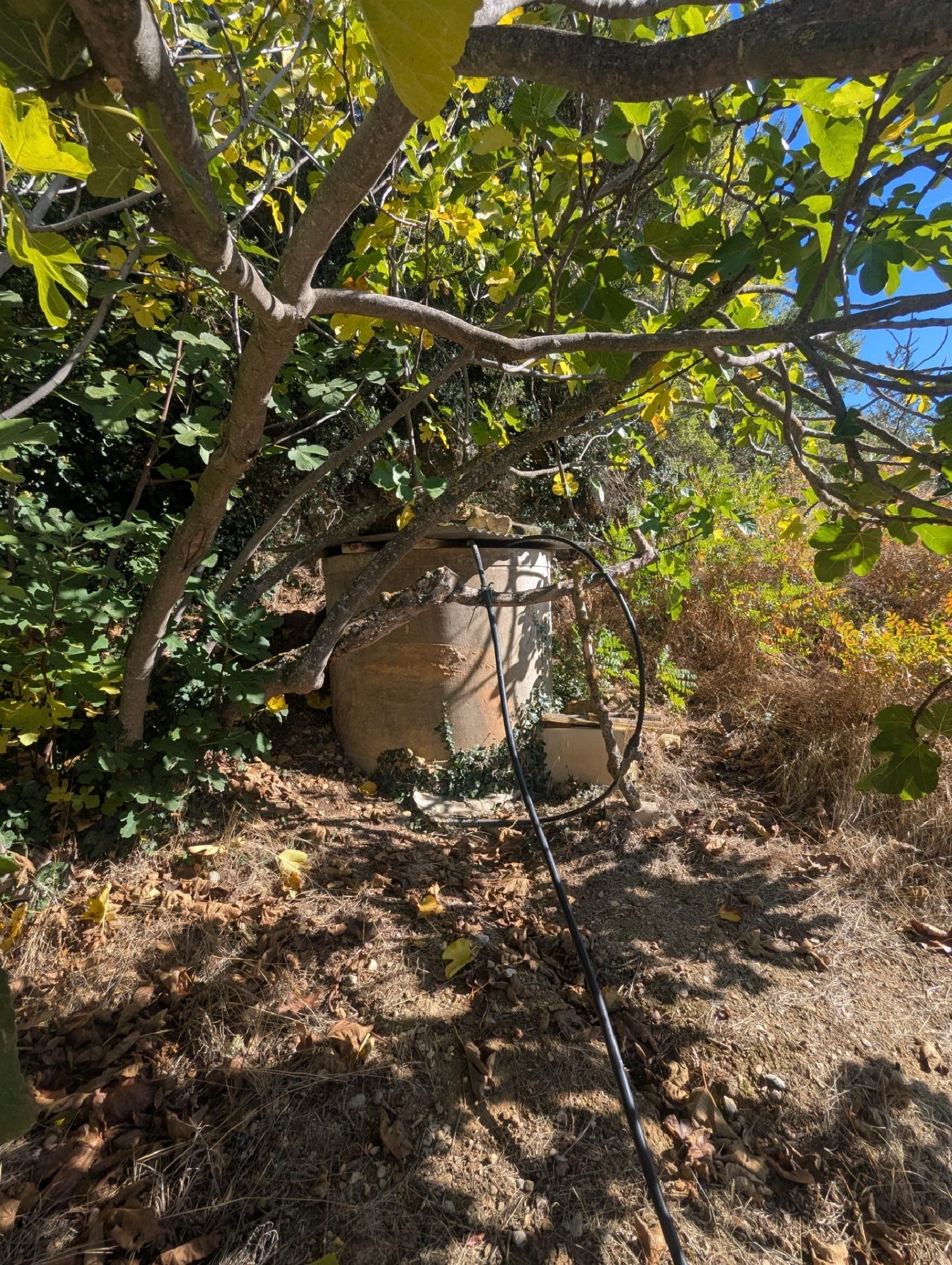  for sale plot Estella Tierra Estella 8