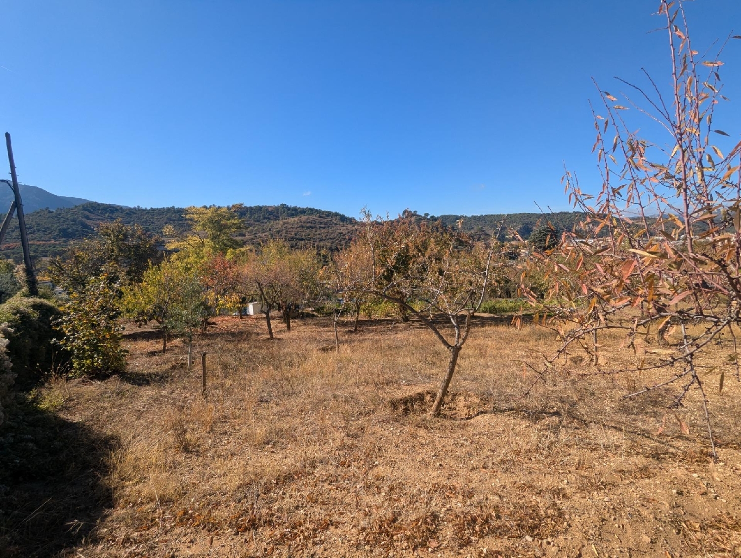  for sale plot Estella Tierra Estella 4