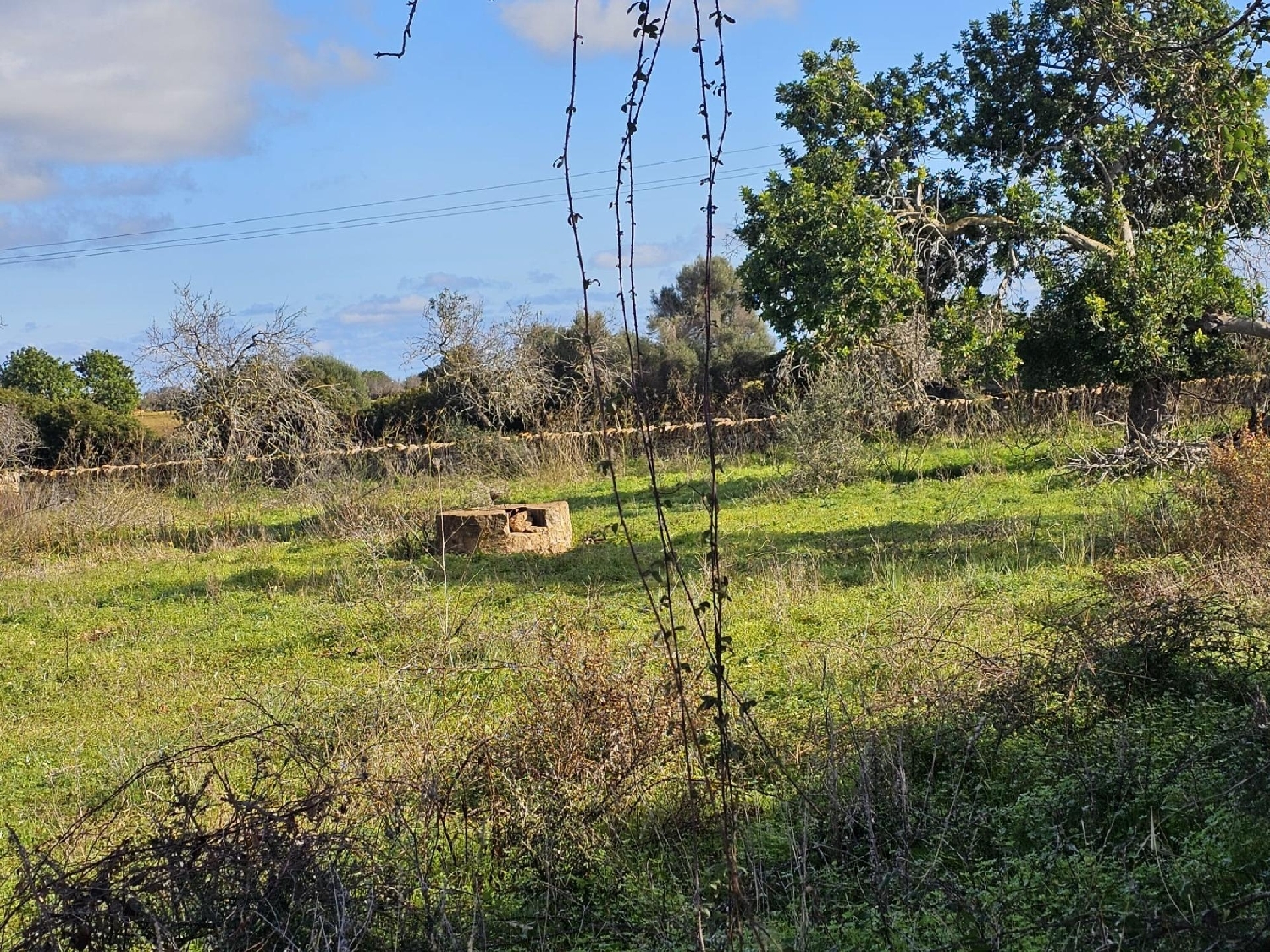  till salu tomt Felanitx Sud 2