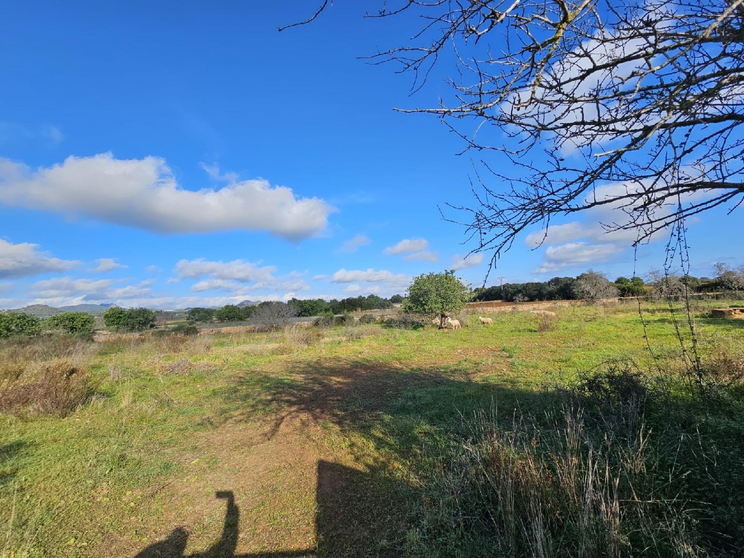  till salu tomt Felanitx Sud 5