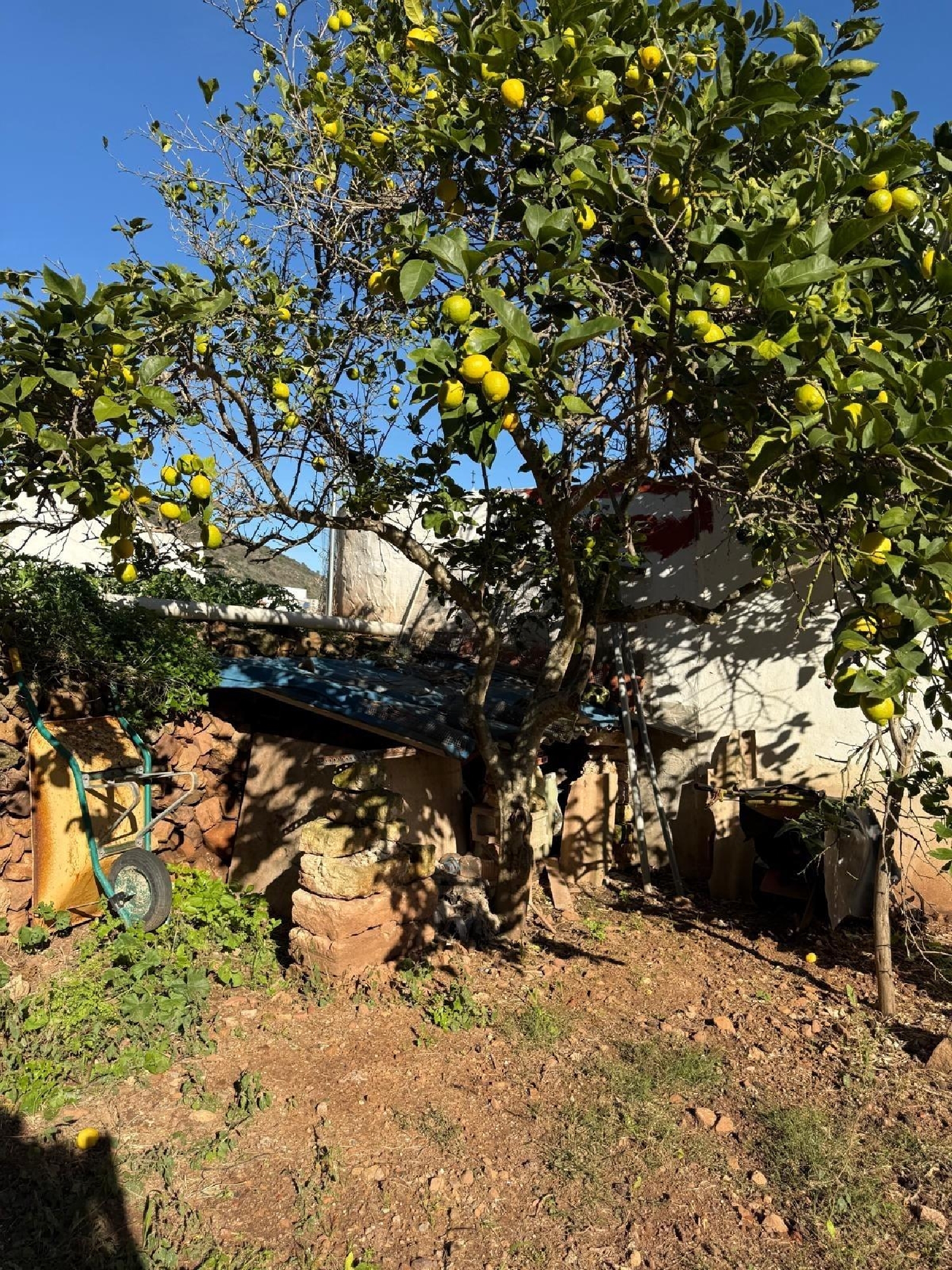  for sale plot Ferreries Ferreries 6