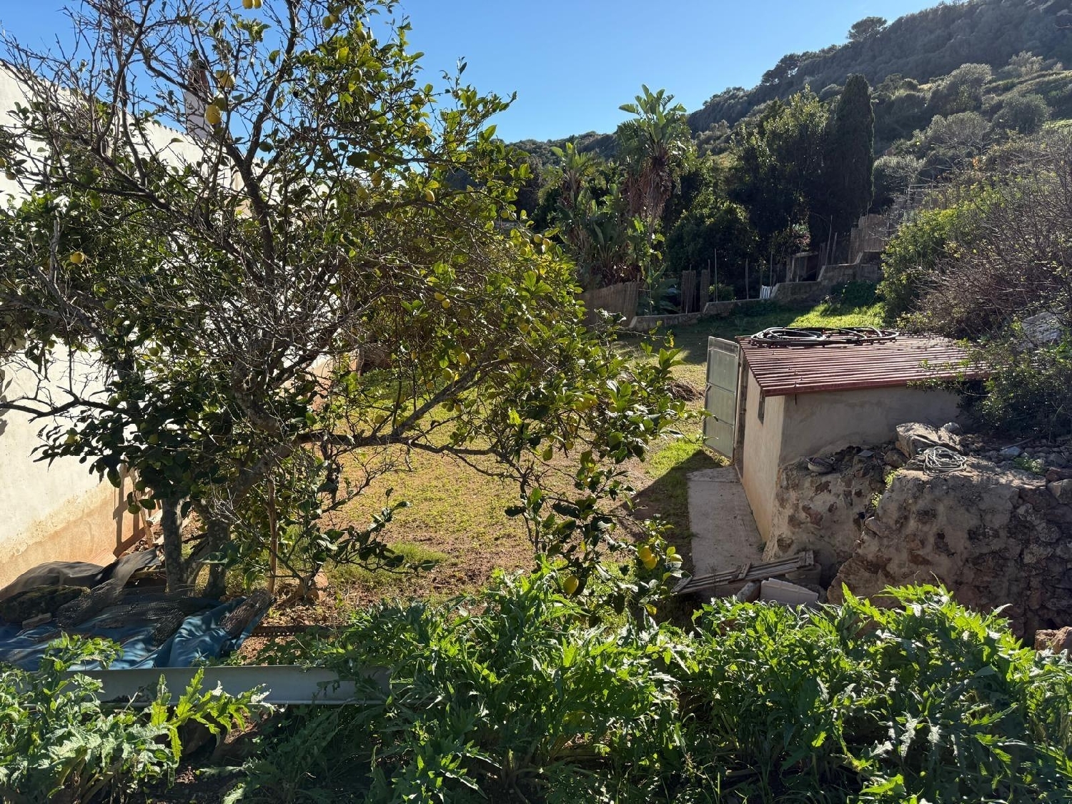  for sale plot Ferreries Ferreries 5