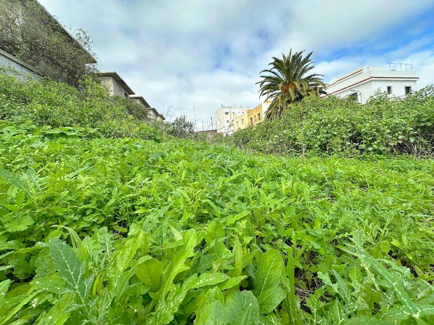 te koop perceel Firgas Área Norte 7