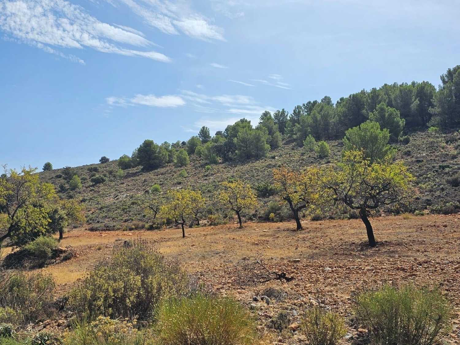  till salu tomt Fondón Alpujarra Almeriense 2