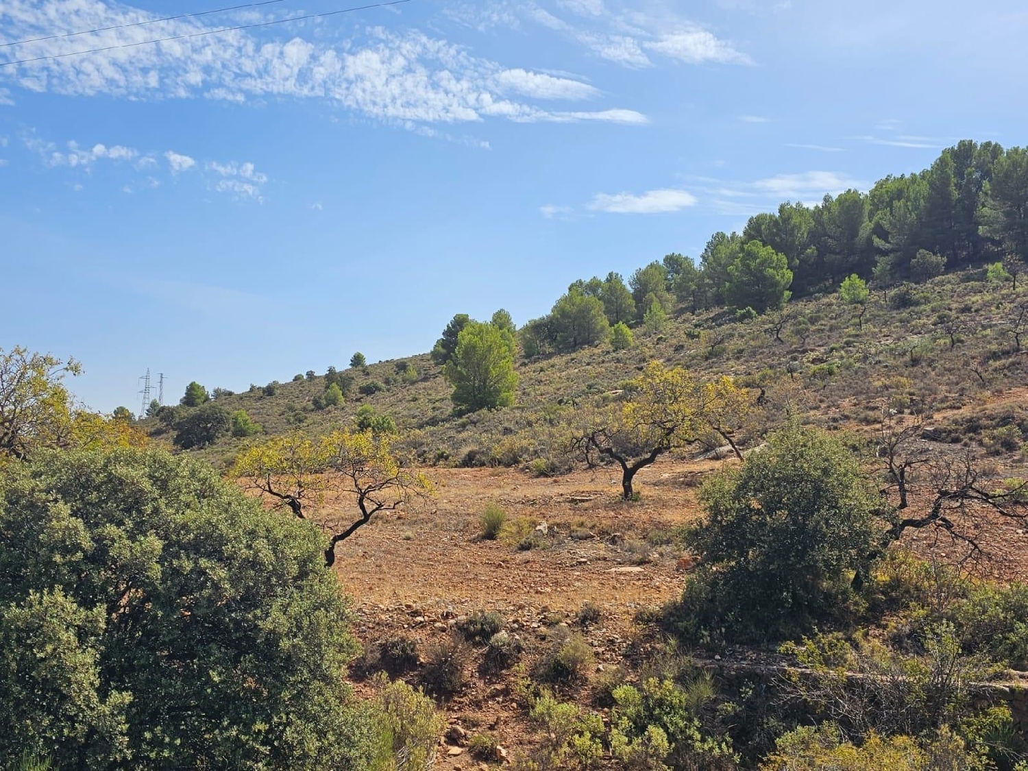  till salu tomt Fondón Alpujarra Almeriense 3