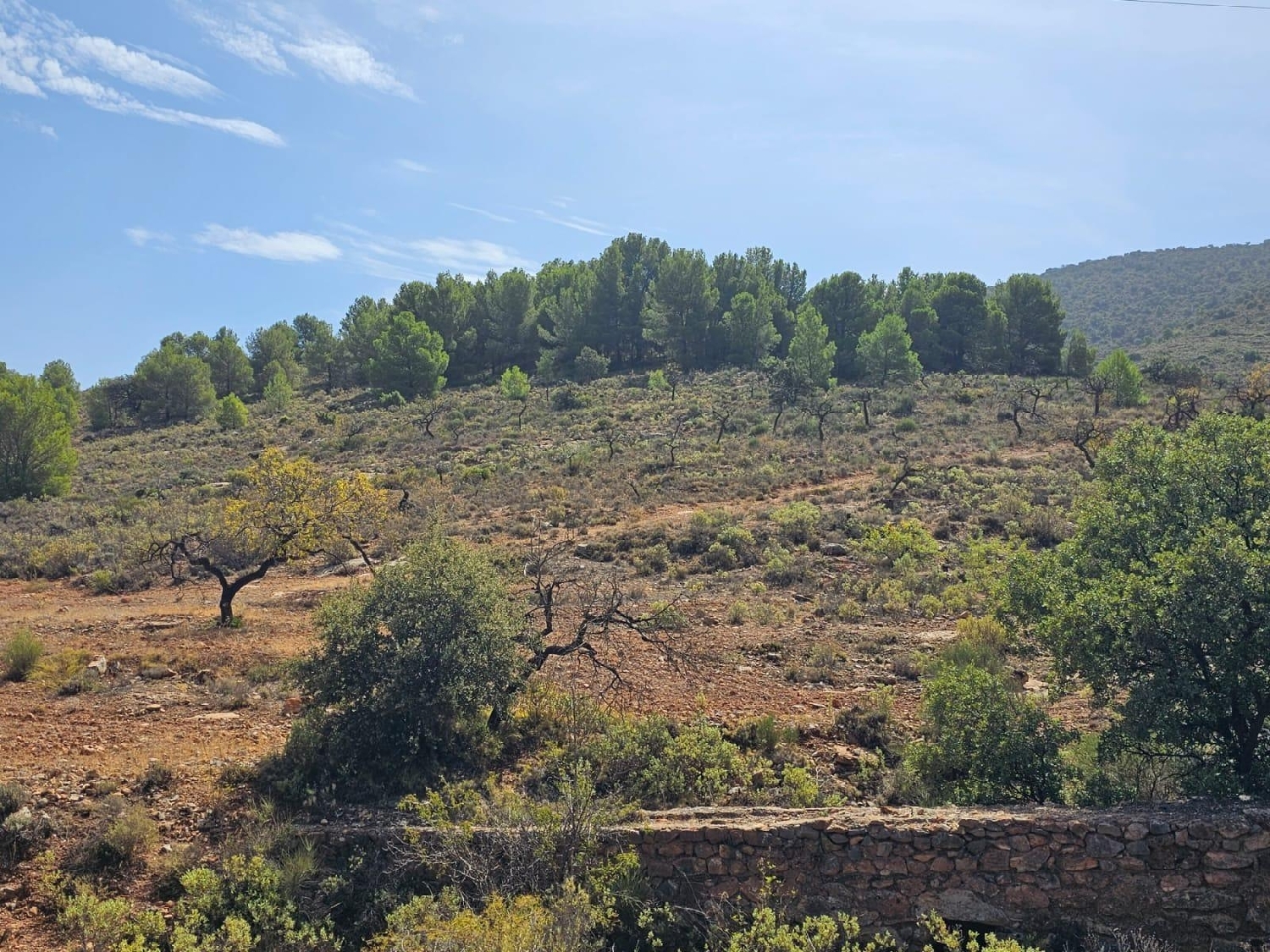  till salu tomt Fondón Alpujarra Almeriense 5