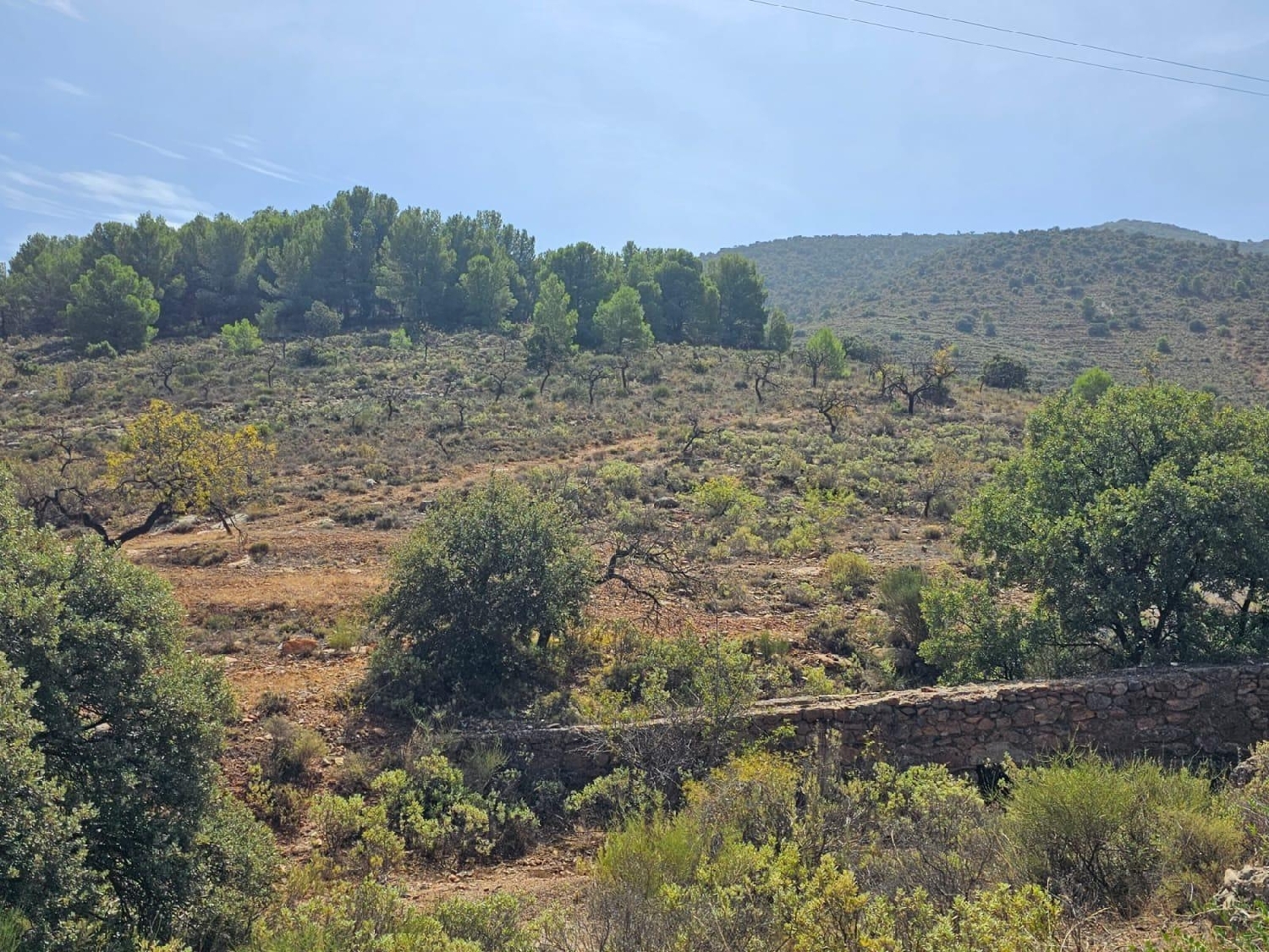  till salu tomt Fondón Alpujarra Almeriense 4