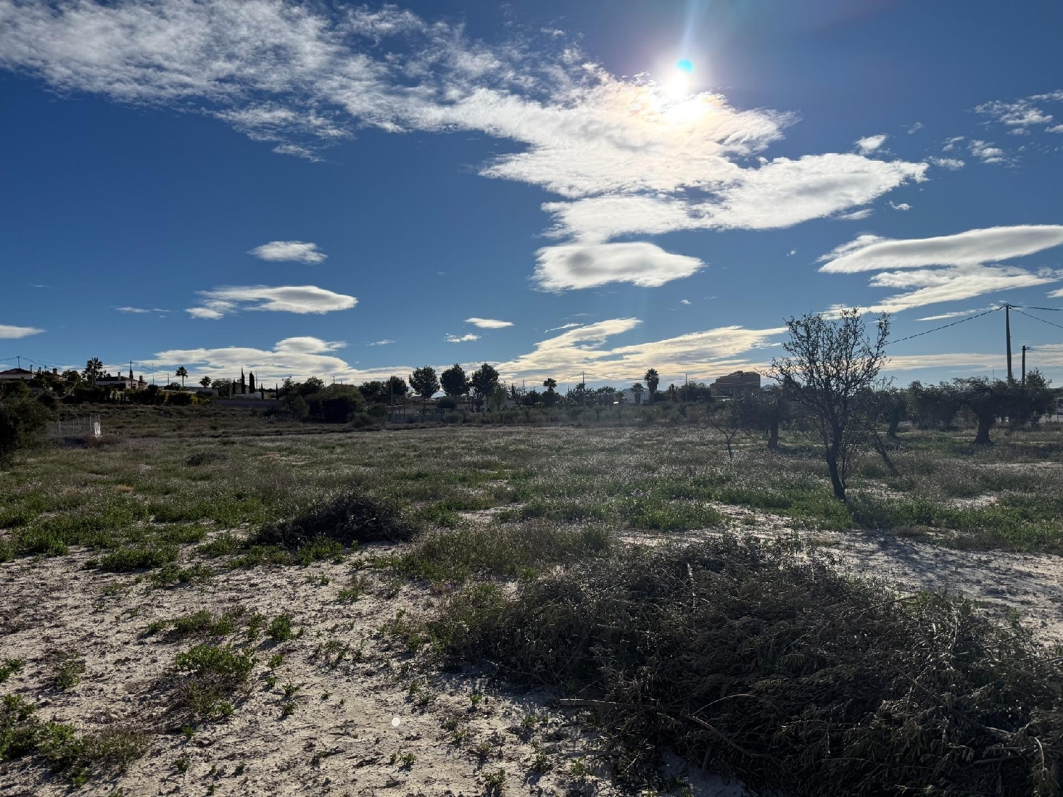  till salu tomt Fortuna Oriental 8