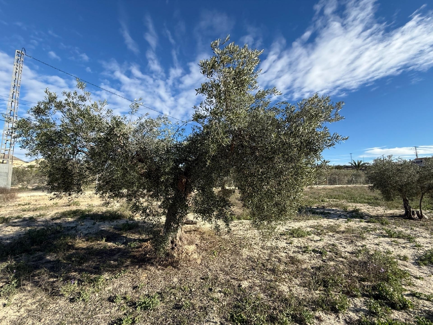  till salu tomt Fortuna Oriental 1