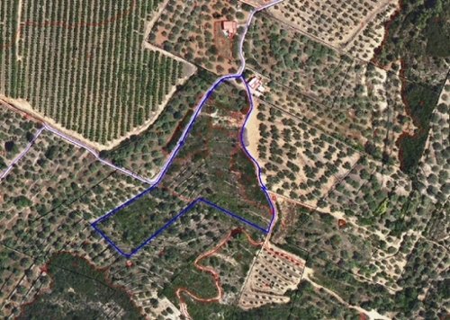 Freginals Montsià terreno foto 6336382