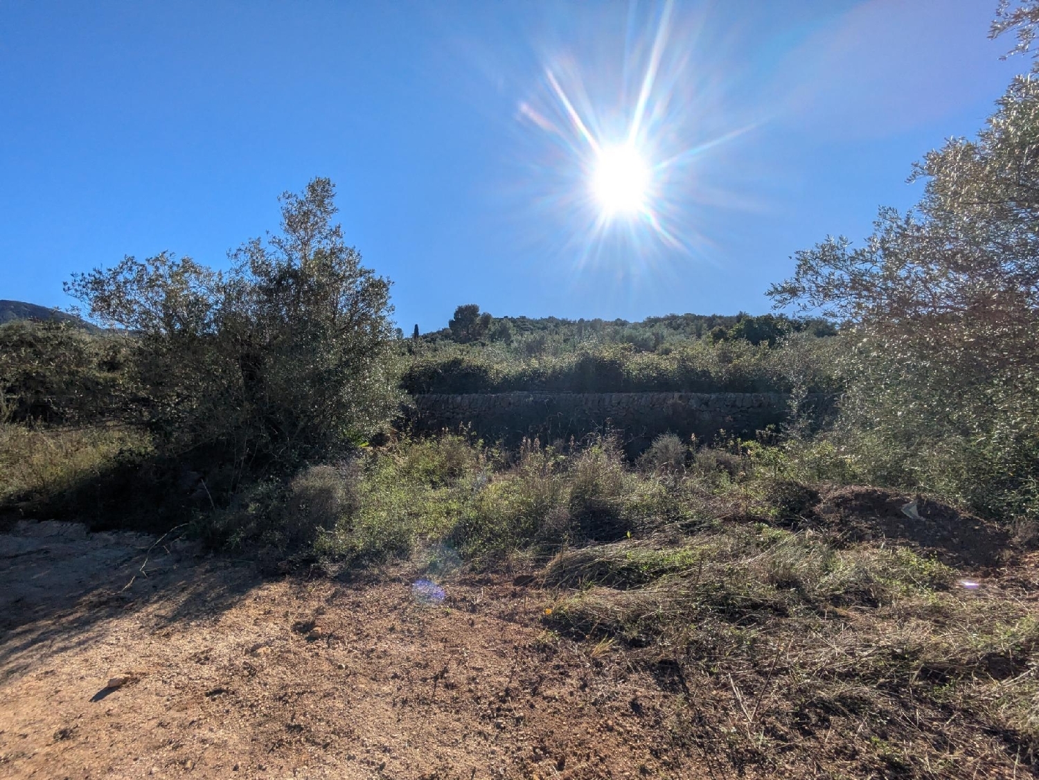  en venta terreno Freginals Montsià 3