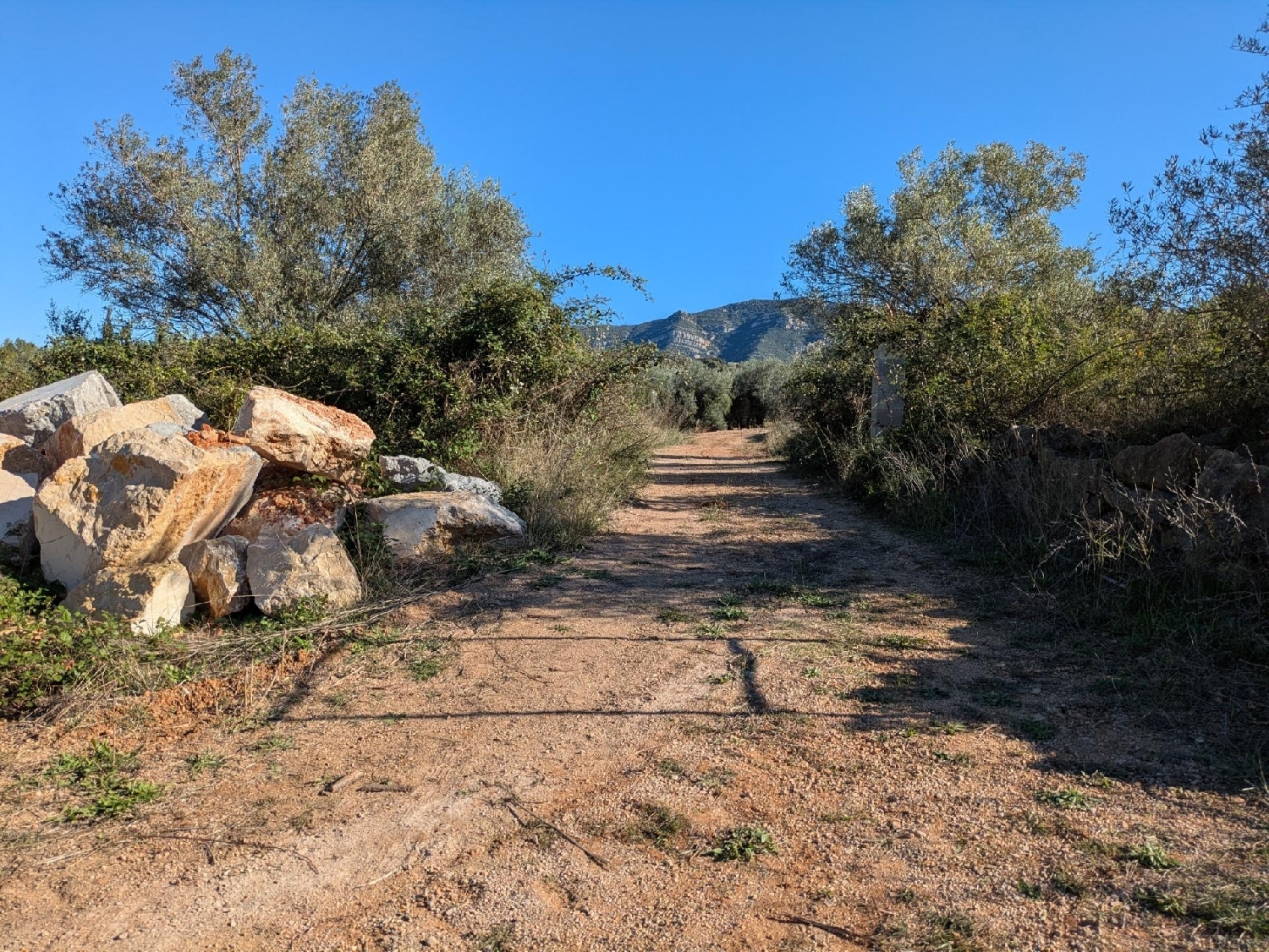  en venta terreno Freginals Montsià 8