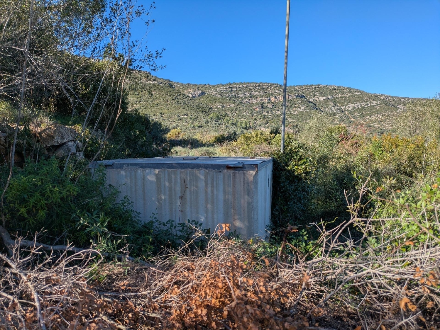  en venta terreno Freginals Montsià 5