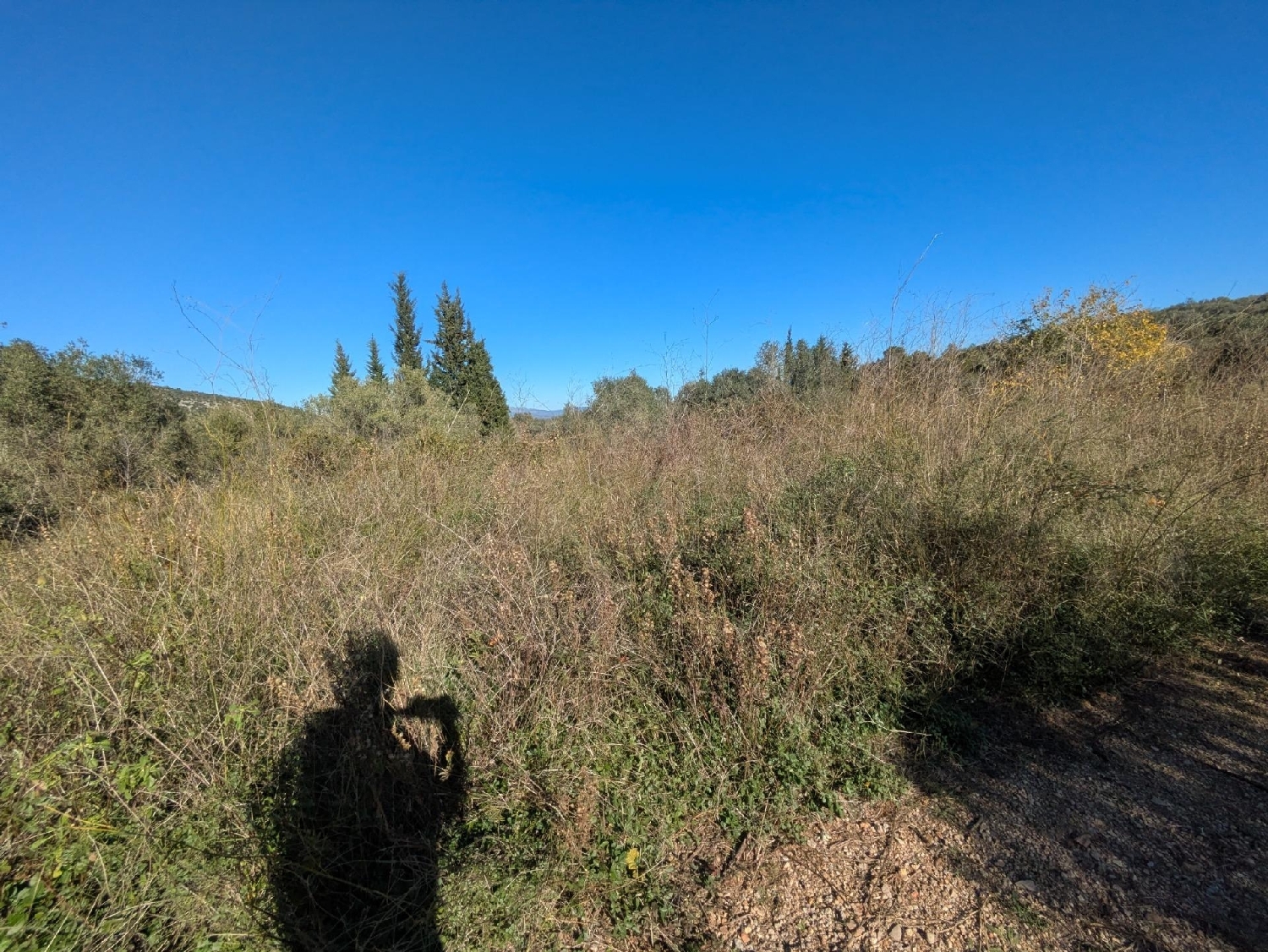  en venta terreno Freginals Montsià 4