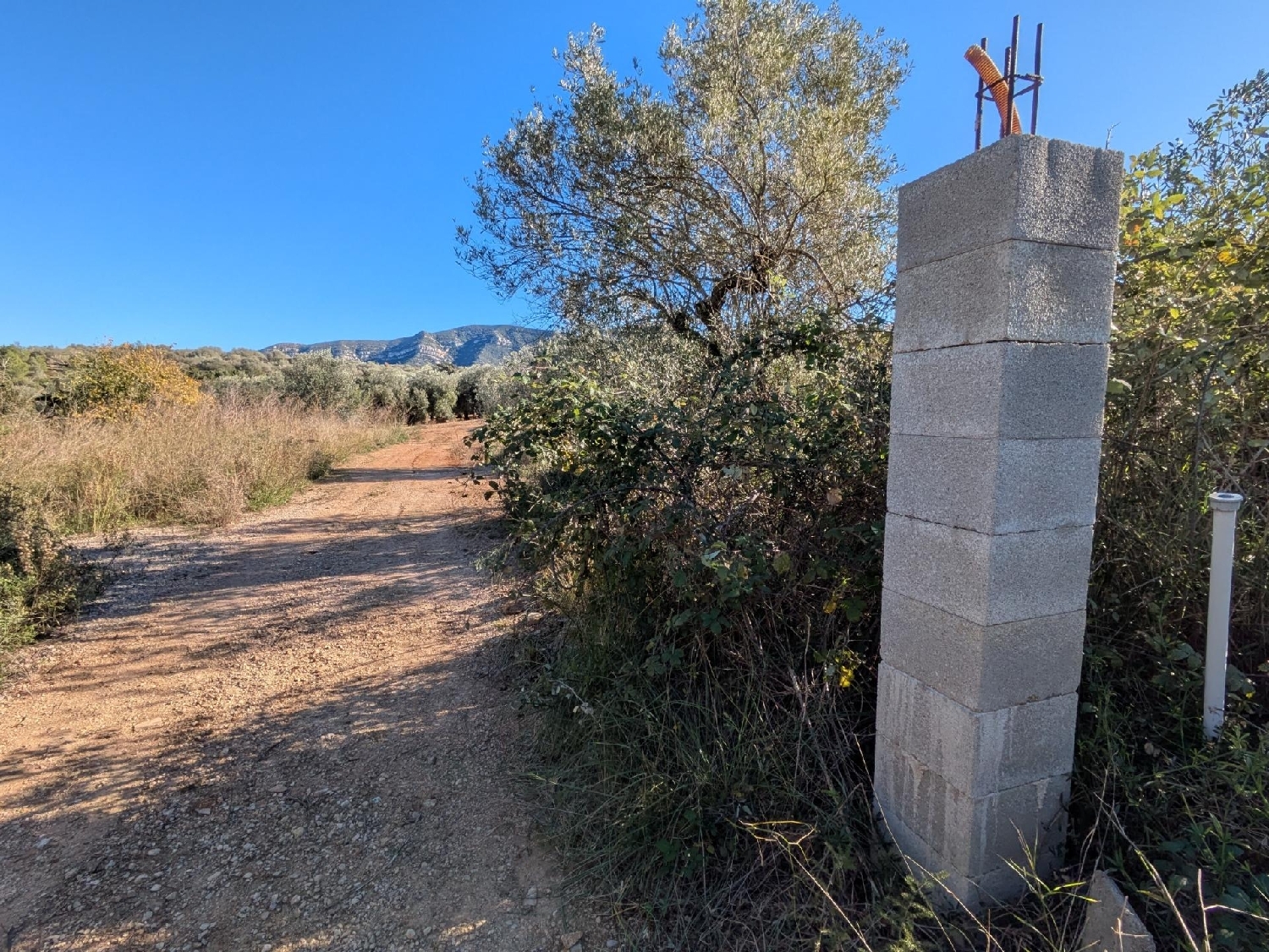  en venta terreno Freginals Montsià 6