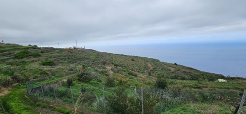 Garachico Zona Norte terrain foto 6328846