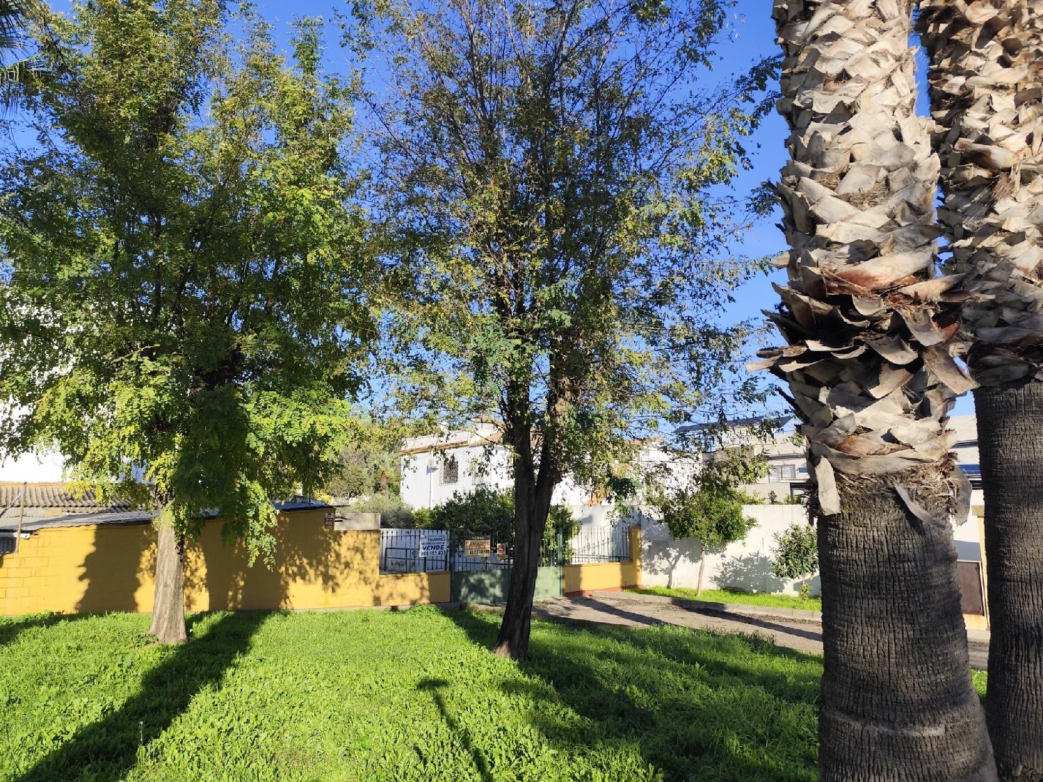  for sale plot Gelves Metropolitana De Sevilla 3