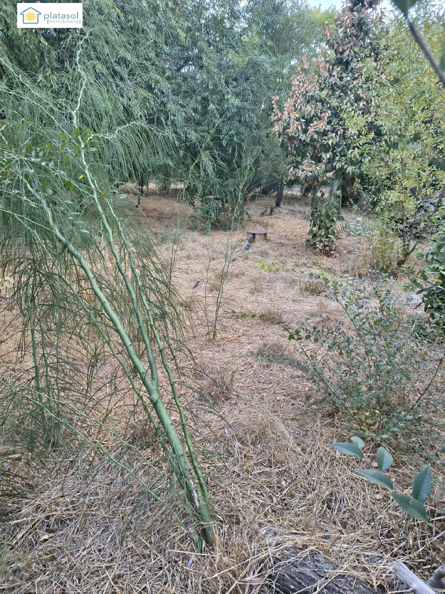 te koop perceel Gerena Sierra Norte 6