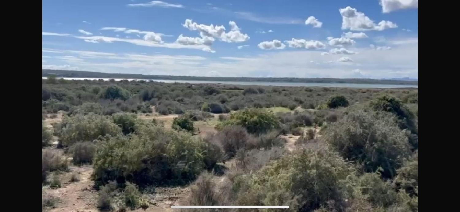 kaufen Grundstück Guardamar Del Segura Baix Segura 3