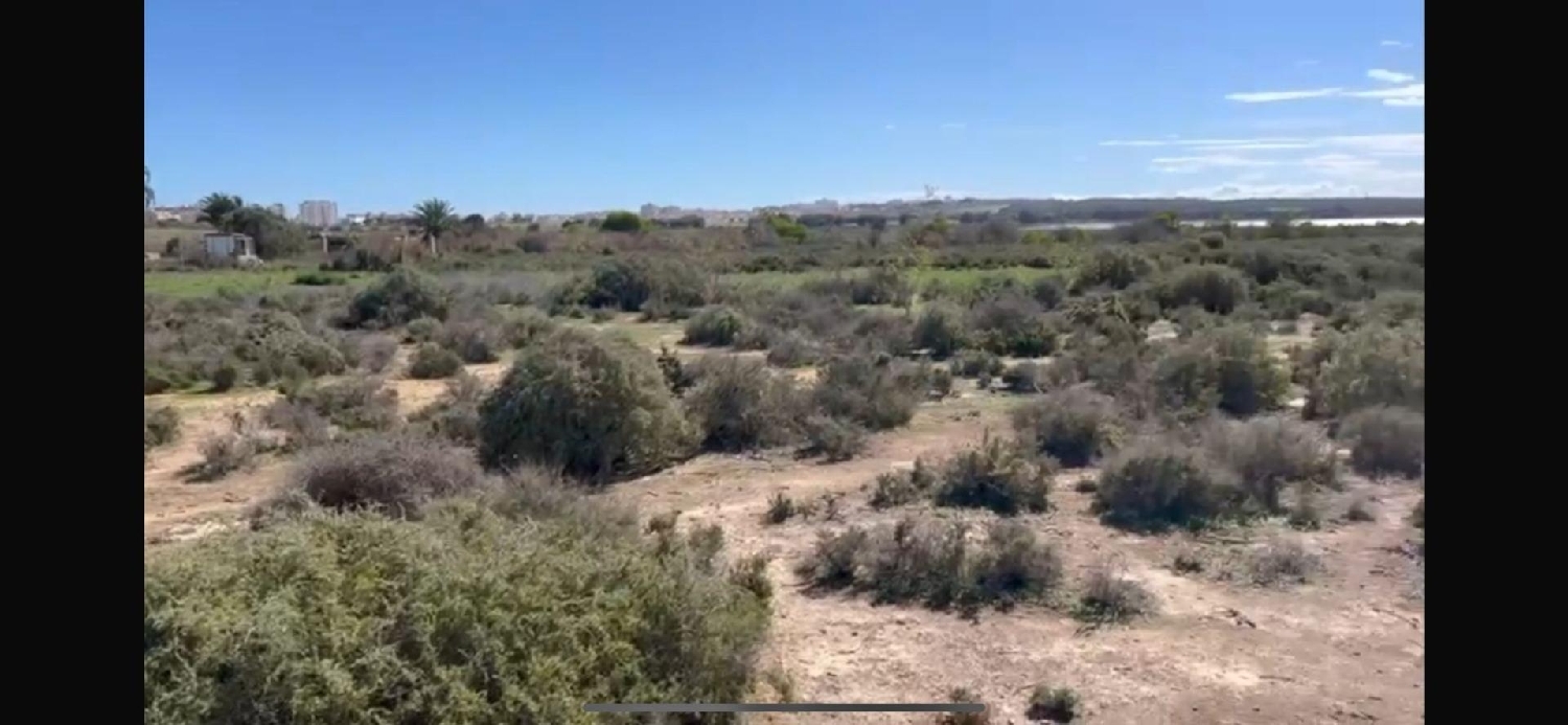 kaufen Grundstück Guardamar Del Segura Baix Segura 4