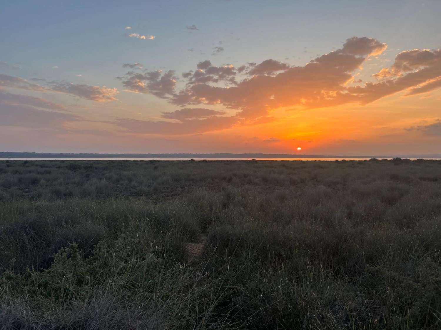 kaufen Grundstück Guardamar Del Segura Baix Segura 1