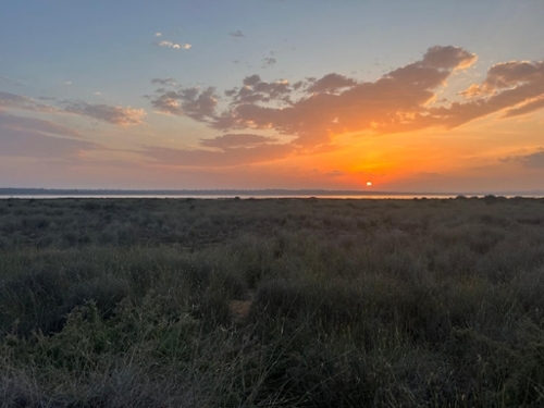 Guardamar Del Segura Baix Segura Grundstück Bild 6329029