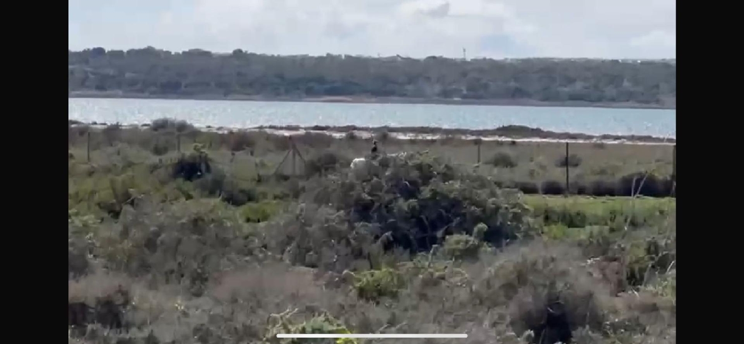 kaufen Grundstück Guardamar Del Segura Baix Segura 5