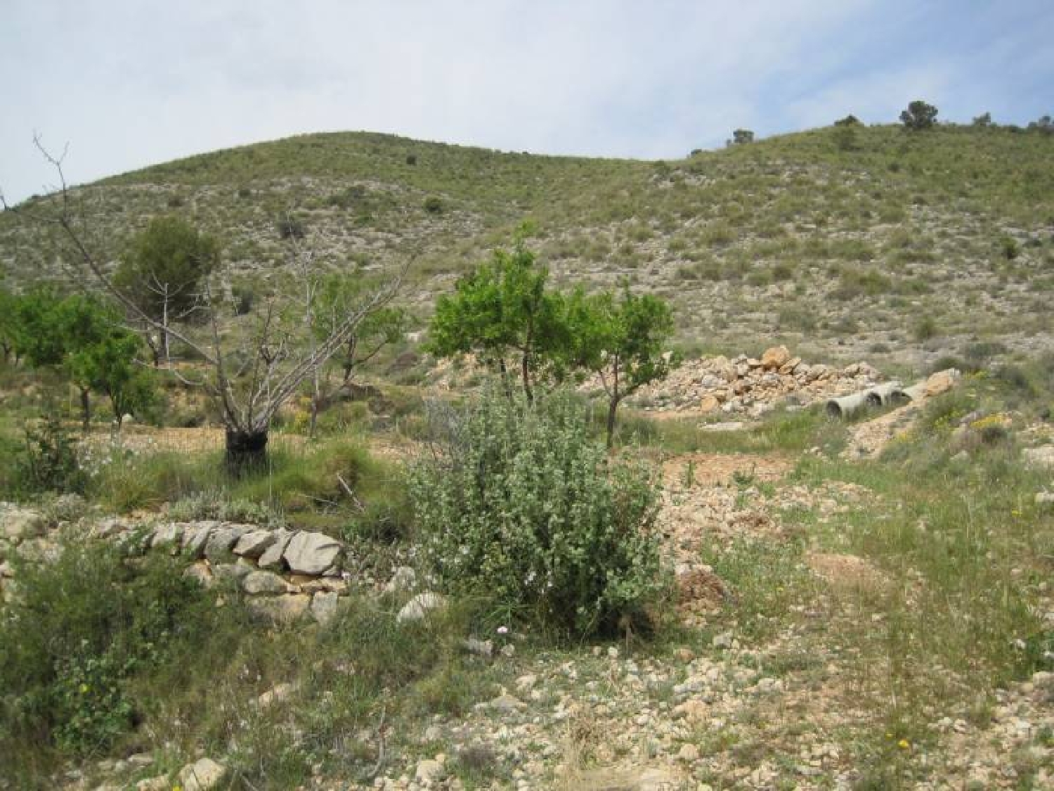  for sale plot Hondón De Las Nieves Vinalopó Mitjà 2