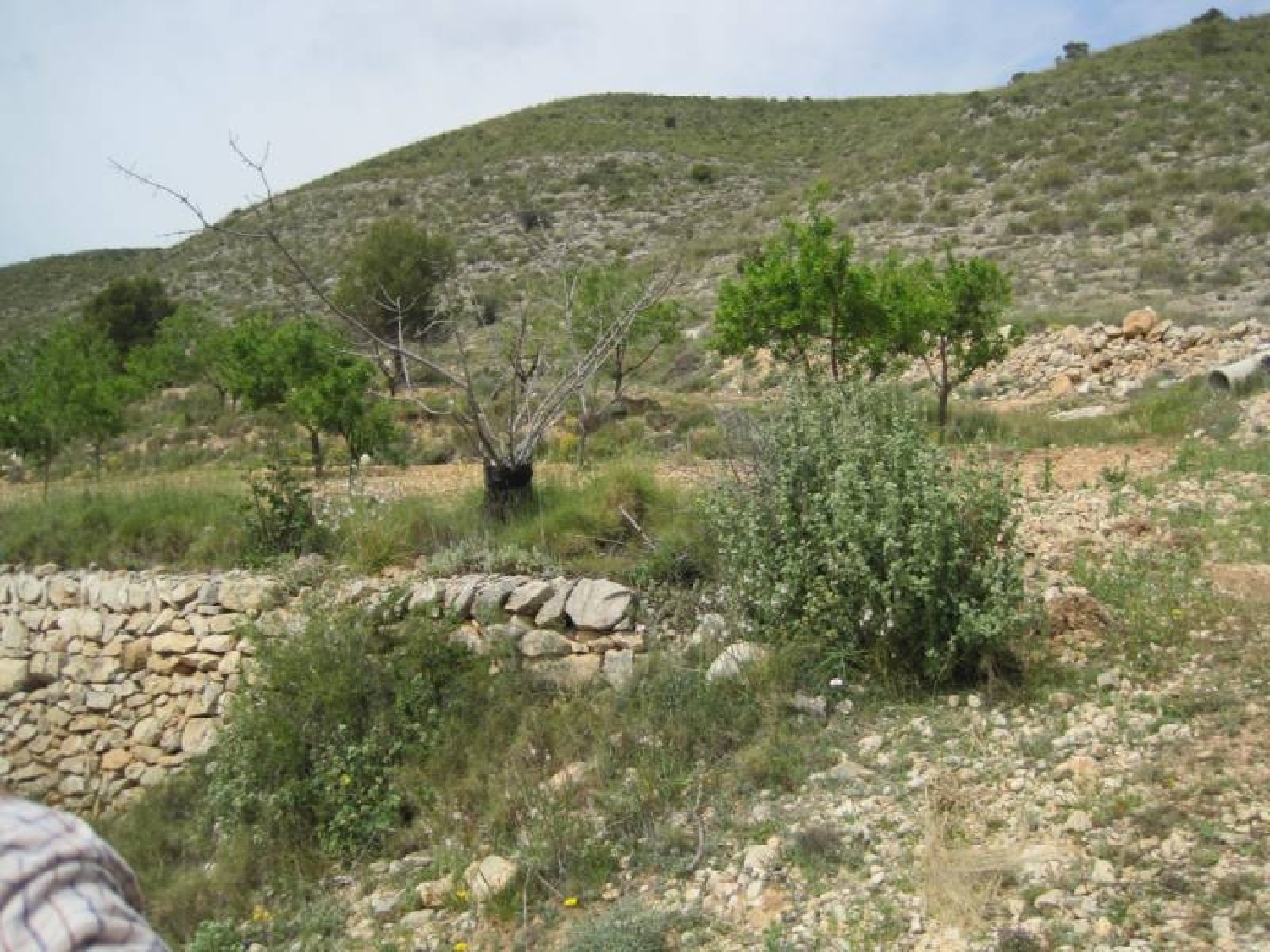  for sale plot Hondón De Las Nieves Vinalopó Mitjà 1