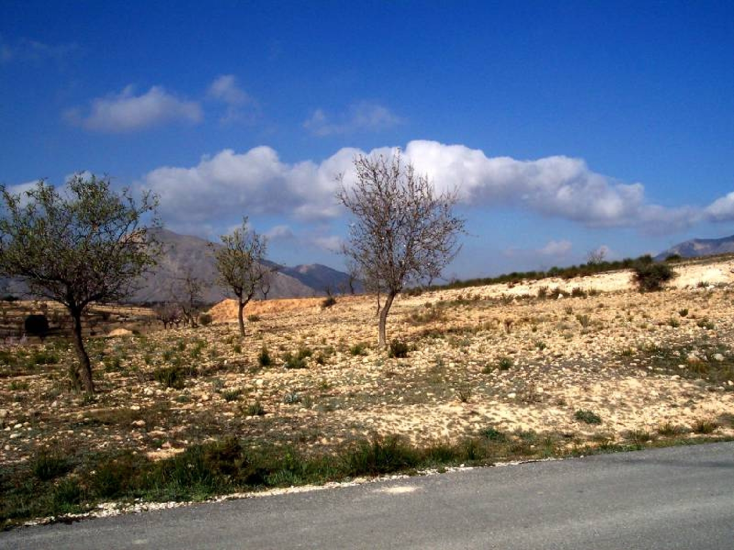  for sale plot Hondón De Los Frailes Vinalopó Mitjà 1