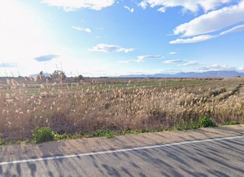 Hoya-Gonzalo Monte Ibérico Almansa Grundstück Bild 6330799