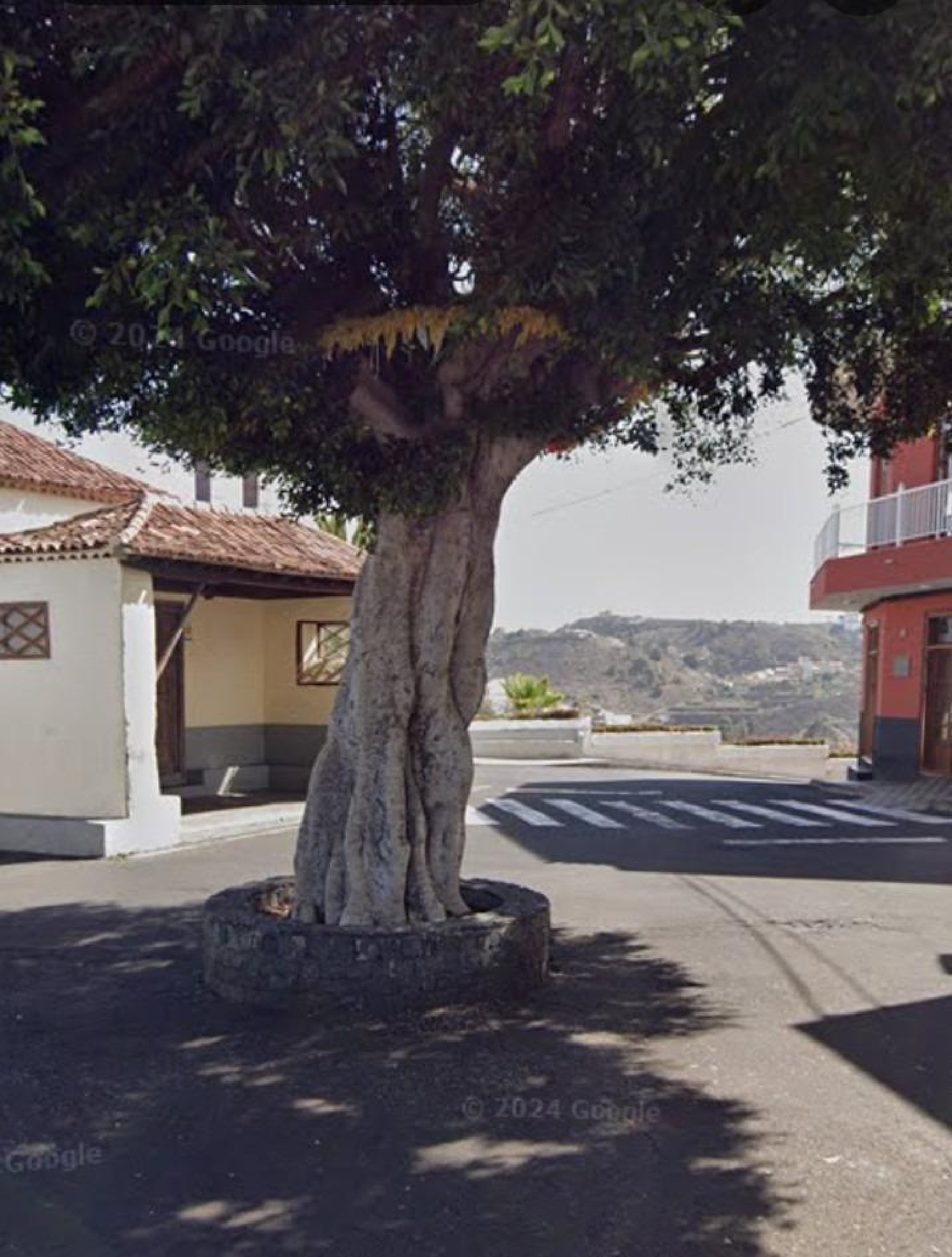 till salu tomt Icod De Los Vinos Zona Norte 7