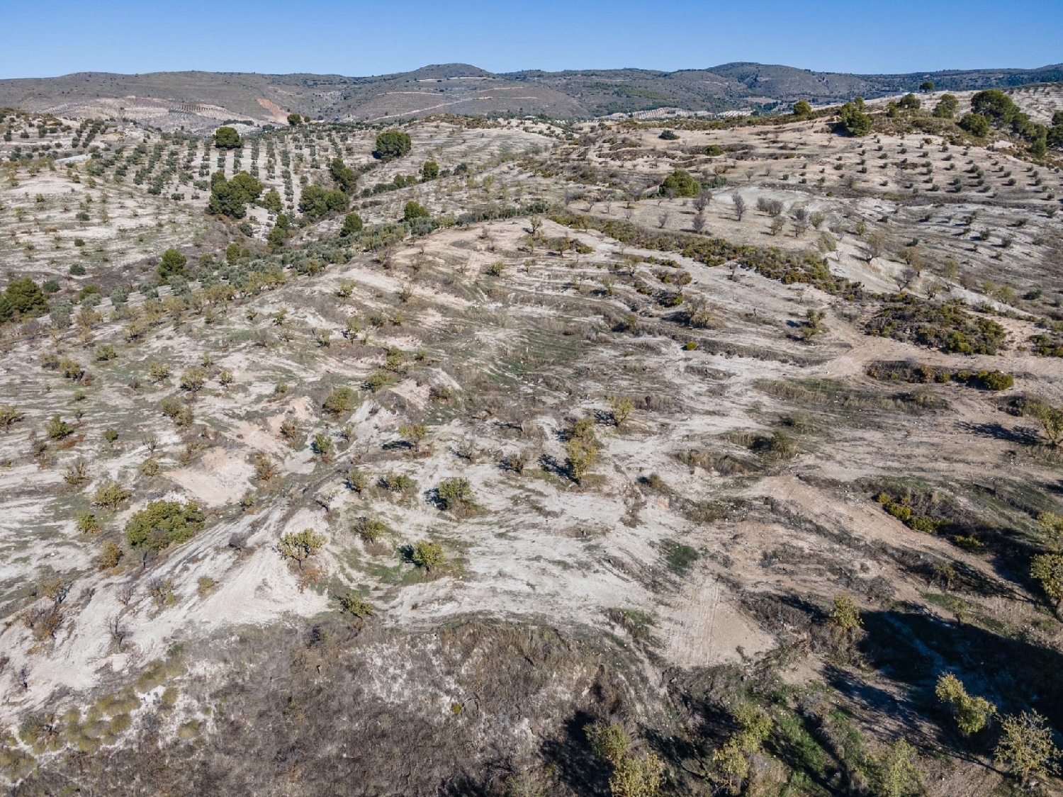  for sale plot Jayena Alhama 7