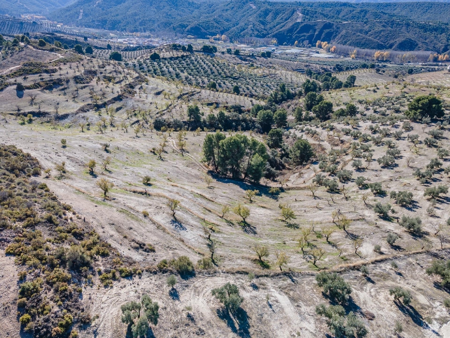  for sale plot Jayena Alhama 3