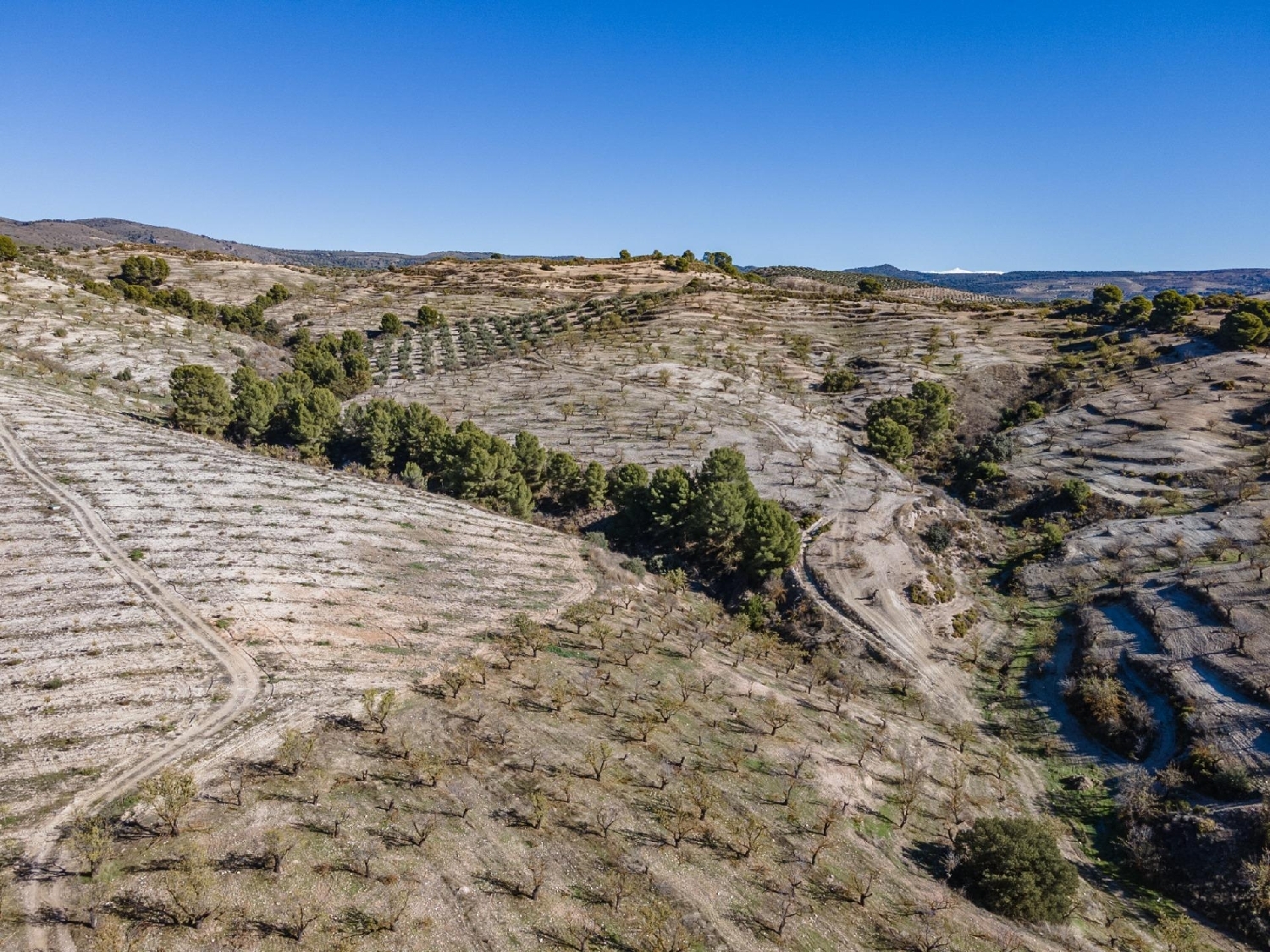  for sale plot Jayena Alhama 6