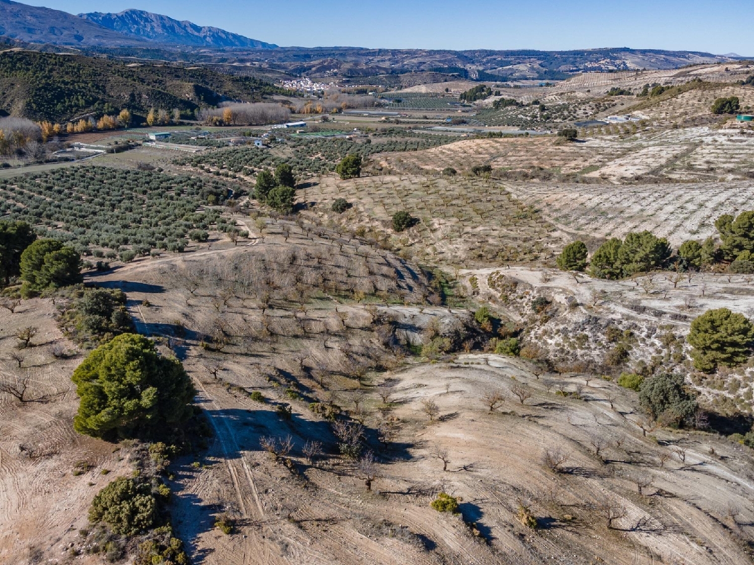  for sale plot Jayena Alhama 8