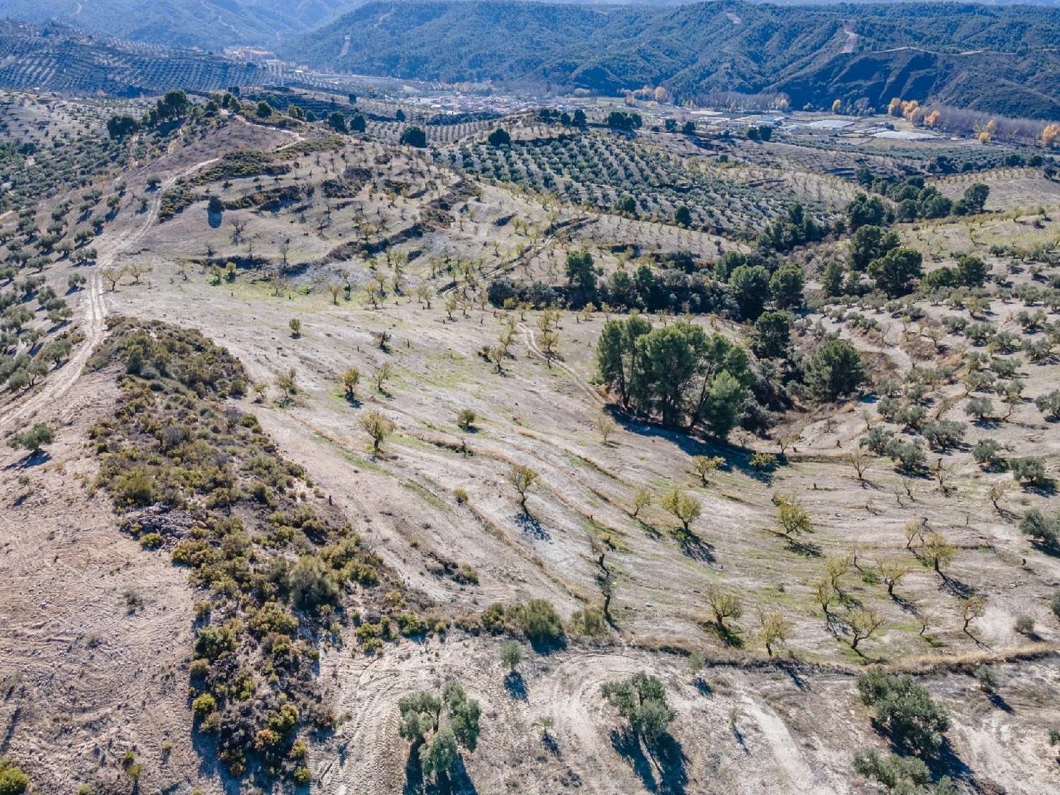  for sale plot Jayena Alhama 2