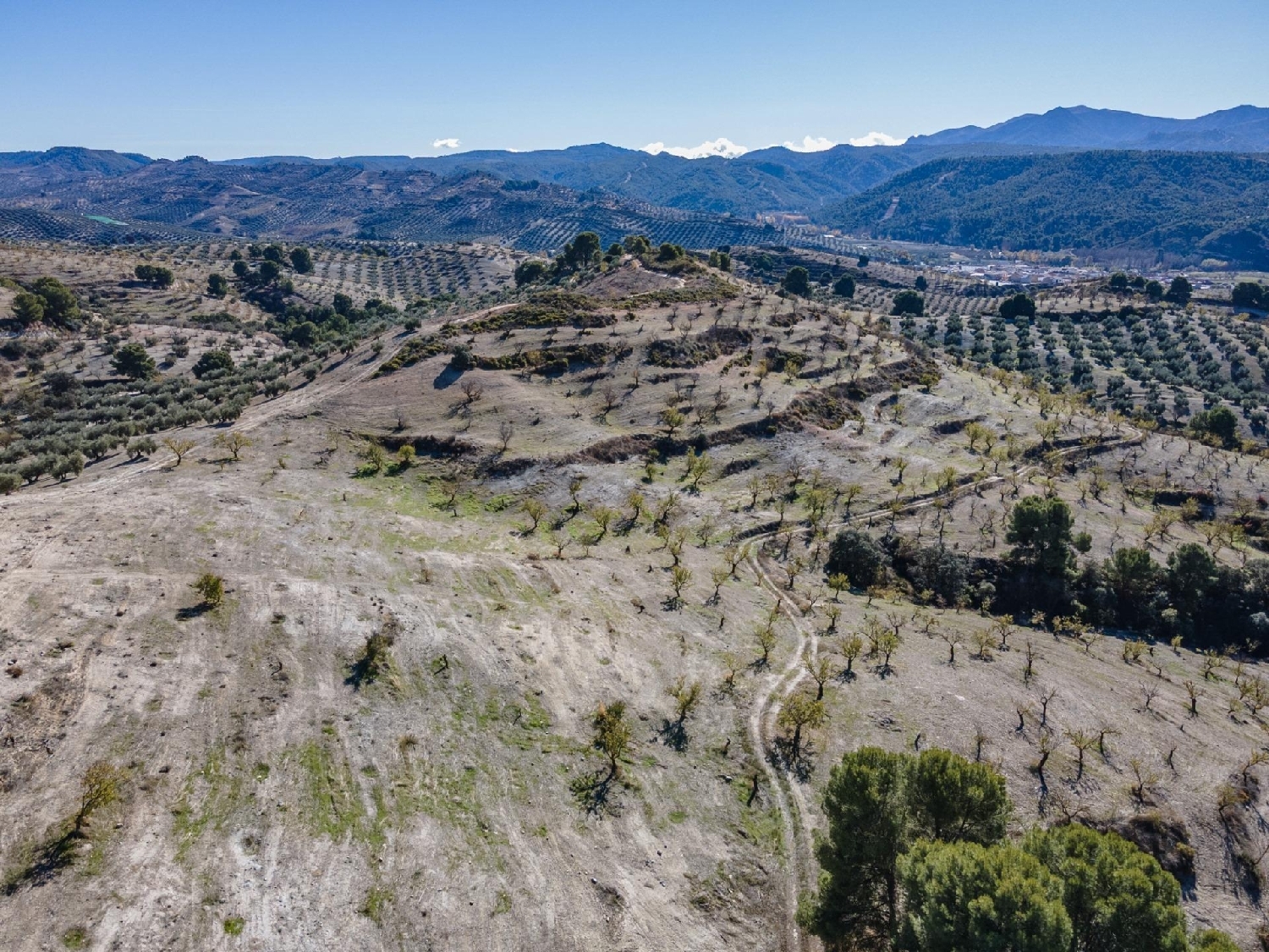  for sale plot Jayena Alhama 4