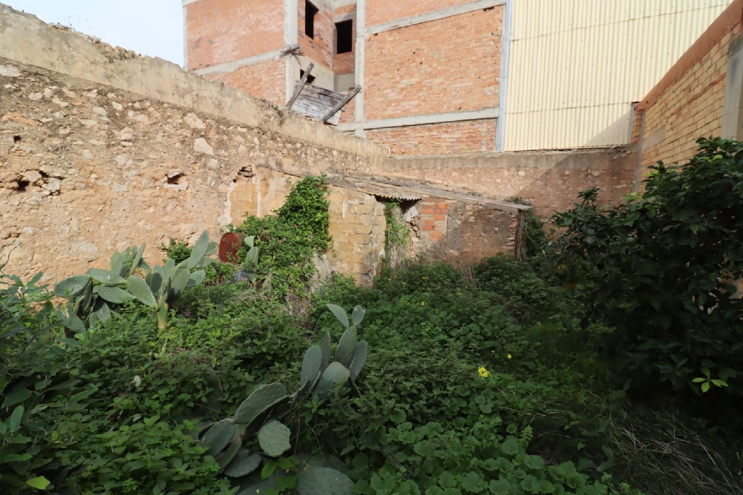 en venta terreno La Alcanara Y Los Búcanos Alto Guadalentín 5