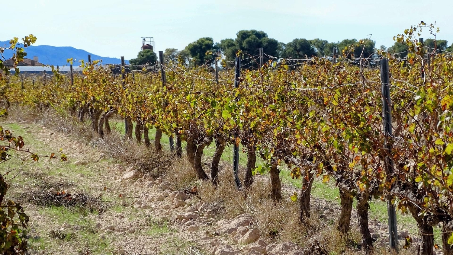  te koop perceel La Font De La Figuera Costera (La) 3