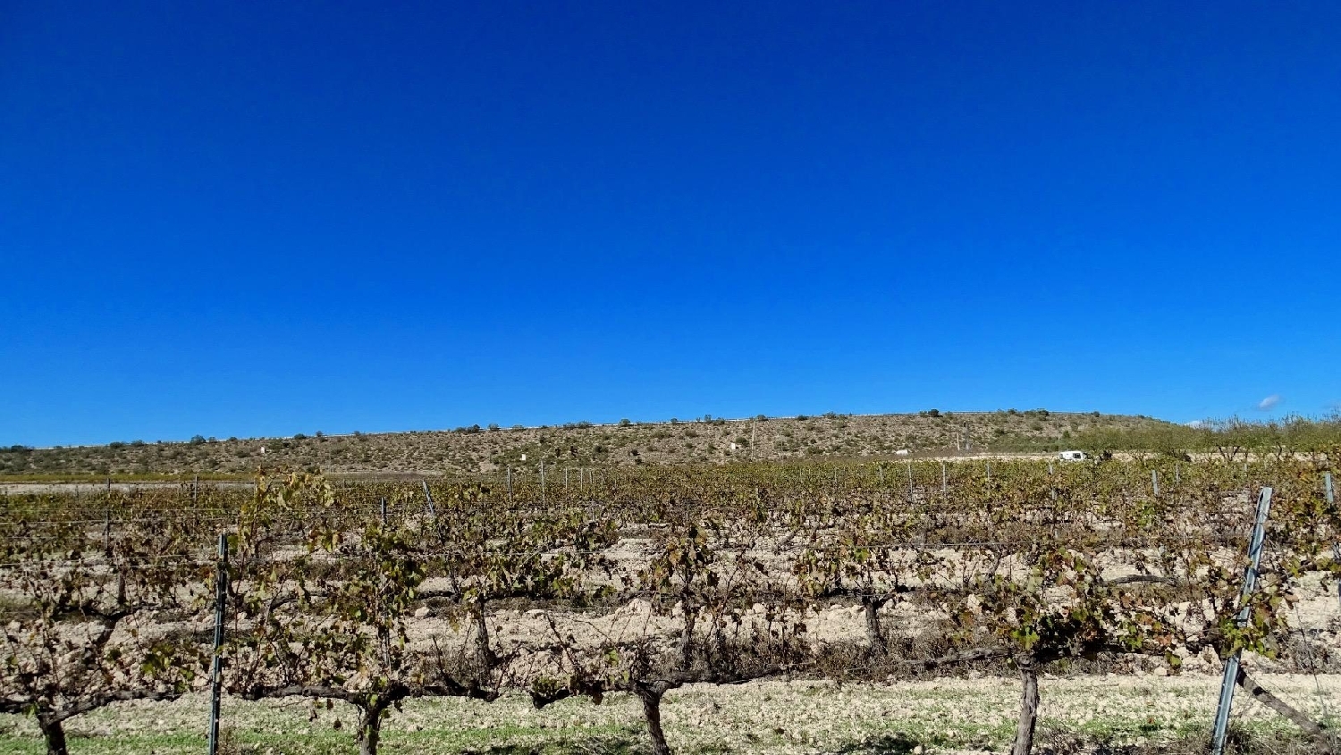  te koop perceel La Font De La Figuera Costera (La) 8