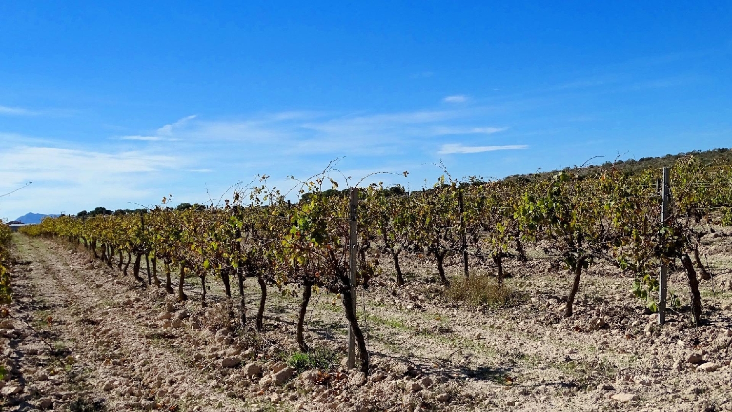  te koop perceel La Font De La Figuera Costera (La) 7