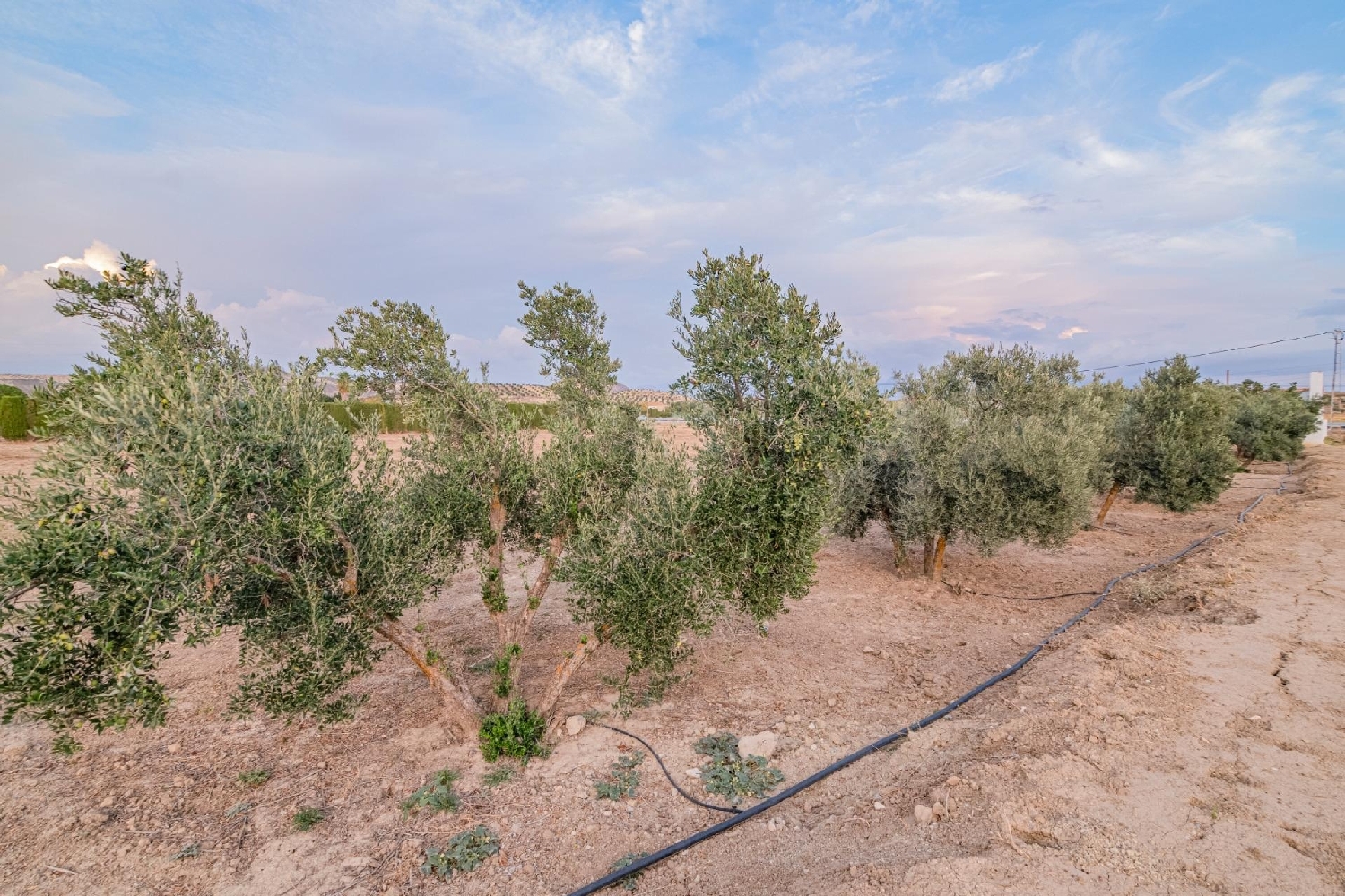  till salu tomt La Malahá Alhama 2