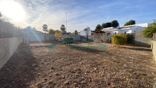 La Pobla De Vallbona Camp De Túria terrain foto 6339774