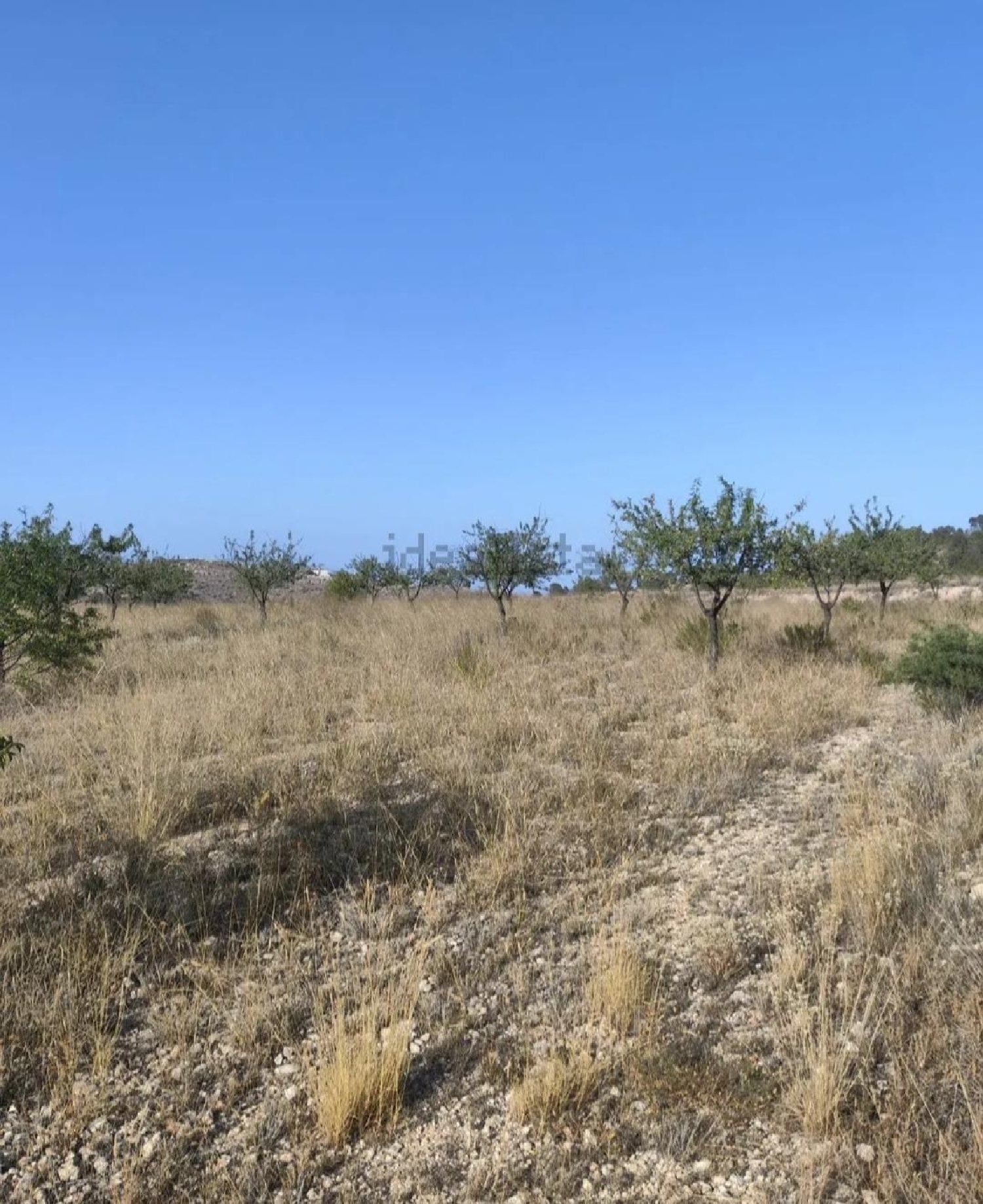 for sale plot La Romana Vinalopó Mitjà 1