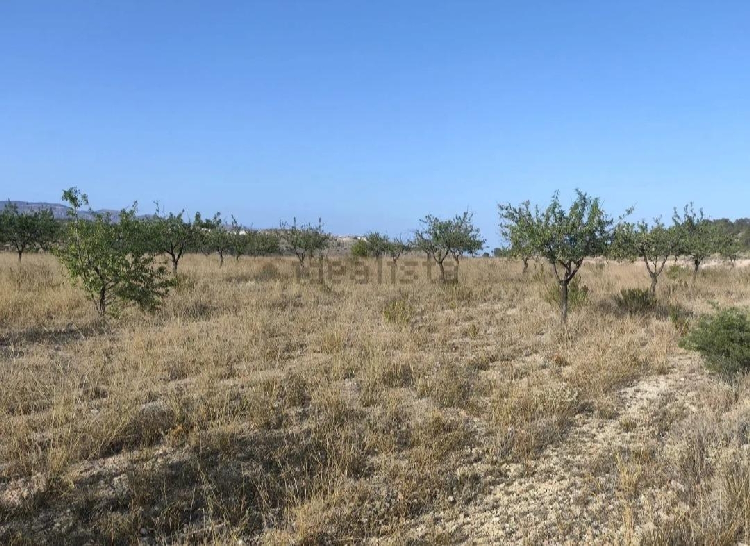 for sale plot La Romana Vinalopó Mitjà 4