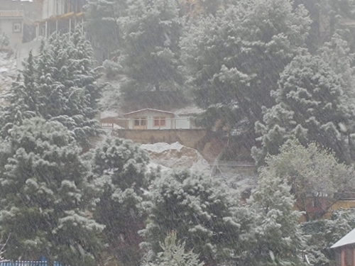 La Zubia Vega De Granada plot foto 6342427